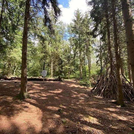 Seewind Am Harkebruegger Mit Sauna Und Kamin Barßel