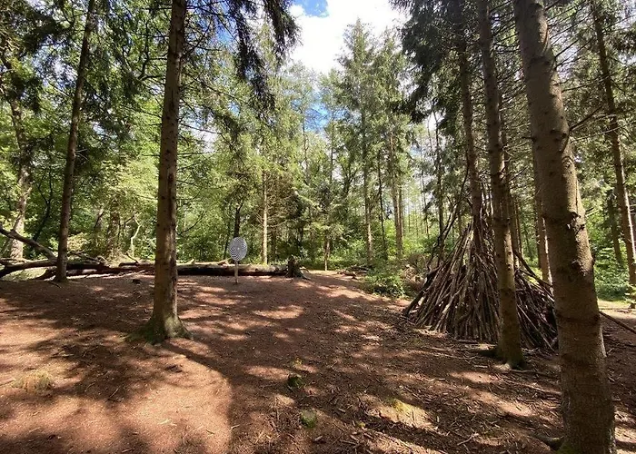 Seewind Am Harkebruegger Mit Sauna Und Kamin Barssel (Cloppenburg)
